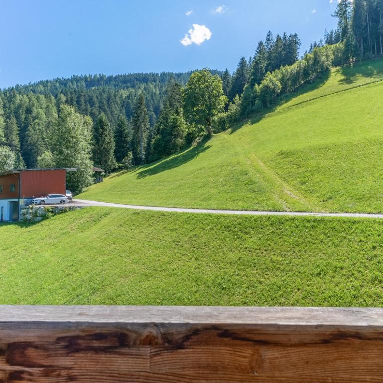 Wieshof - Apartamento con 4 dormitorios - 28