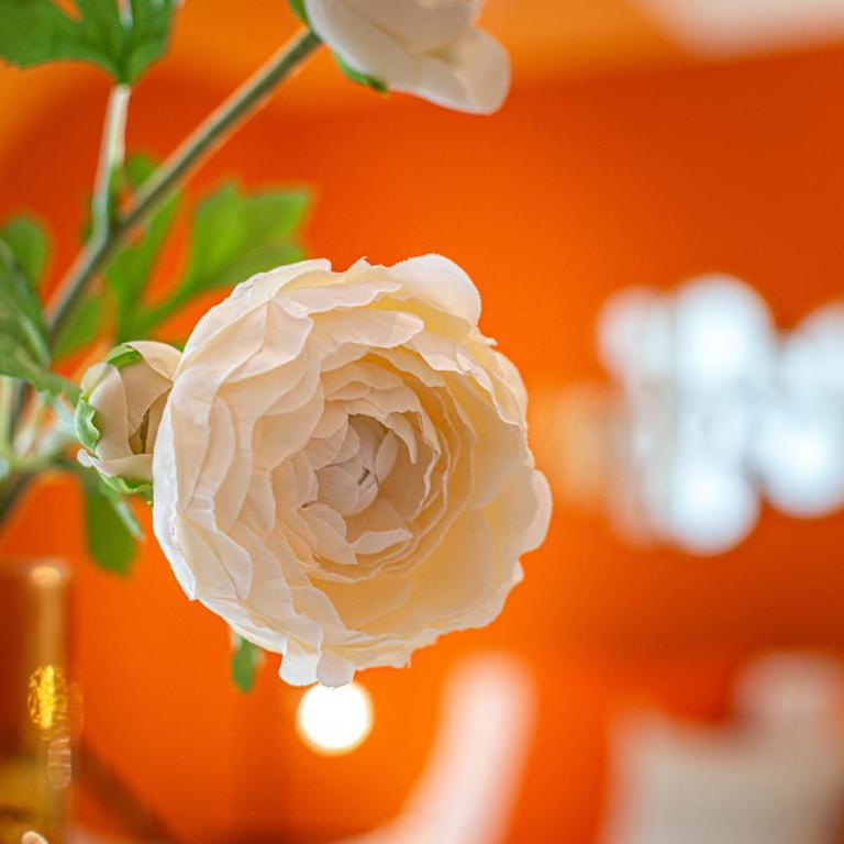 Appartamento Aperol Spritz - Deluxe Studio mit Doppelbett - 20