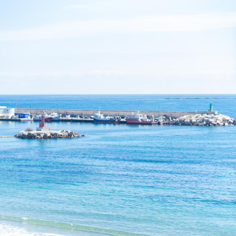 Apartamento en 1a Línea de playa Beachfront apartment - One-Bedroom Apartment - 11
