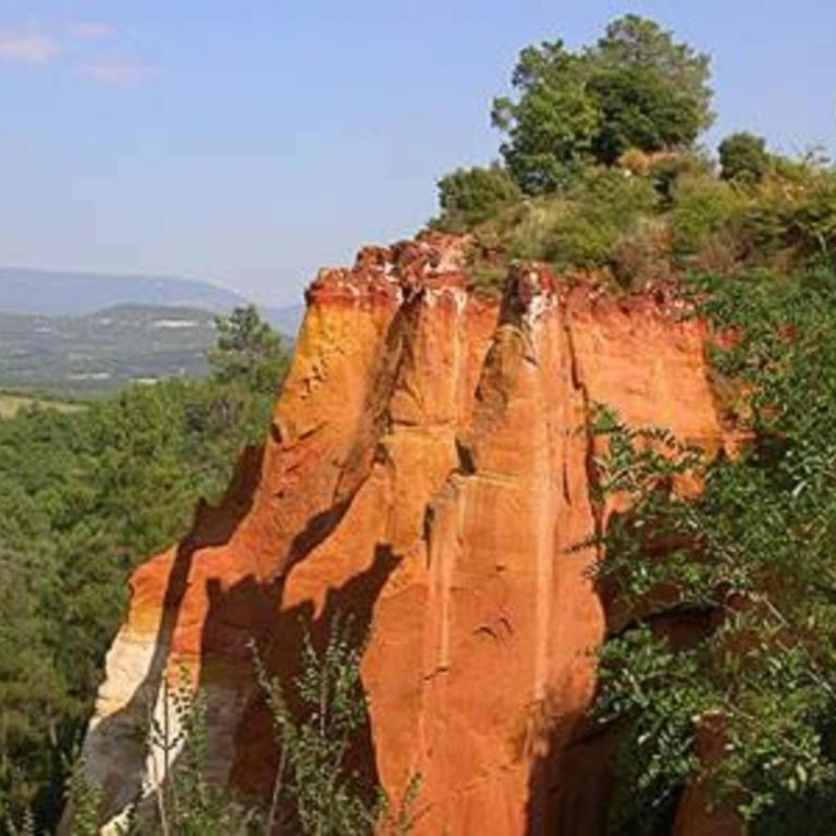 Le Zenith - Calme absolu, jardin et piscine en Provence - Casa con 1 dormitorio - 47
