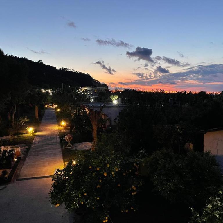 Residence Margherita - One-Bedroom Apartment with Garden - 16