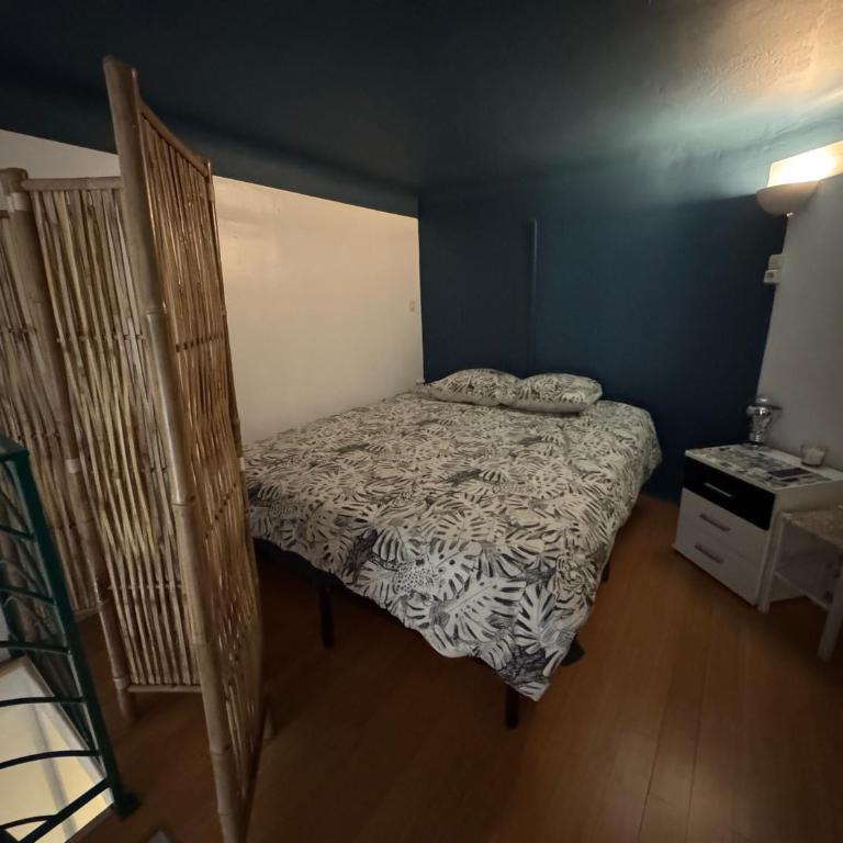 Duplex spagiari - Appartement 1 Chambre - 4