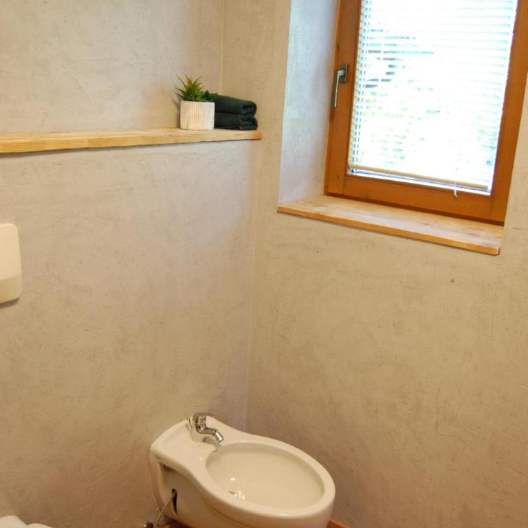 Haus Hager - Chambre Double avec Douche - 9