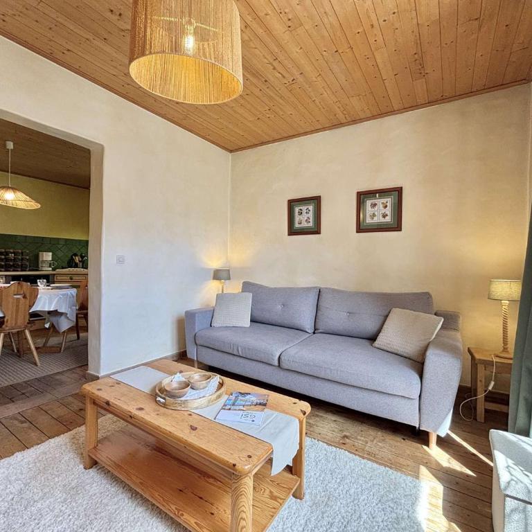 Appartement cosy à Praz-sur-Arly, 2 pièces, proche village - Appartement 1 Chambre - 1