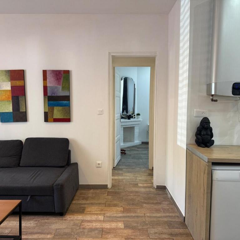 Le sud version toulouse - Appartement 2 Chambres - 17