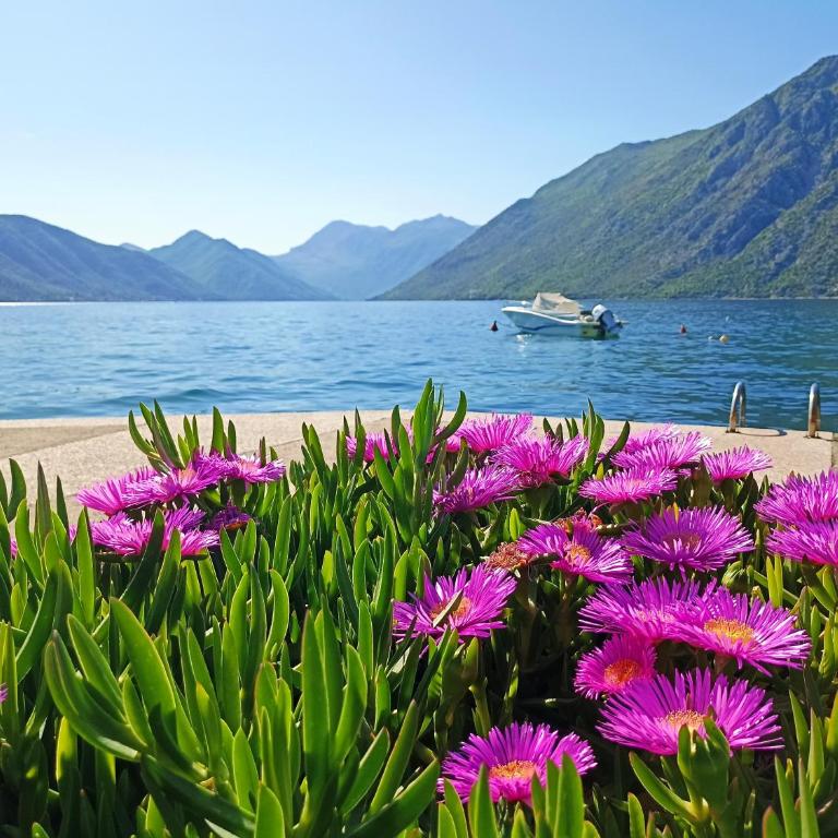 Duplex Kotor Ljuta with great views - Apartman sa 2 Spavaće Sobe - 20