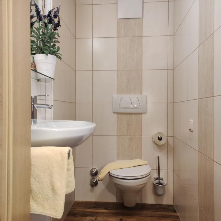 Ferienhaus Birgit - inklusive Eintritt Alpentherme Bad Hofgastein - Großes Apartment mit Balkon (2-4 Personen) - 6