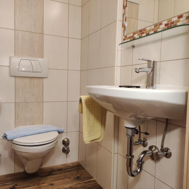 Ferienhaus Birgit - inklusive Eintritt Alpentherme Bad Hofgastein - Apartment (2-4 Personen) - 5
