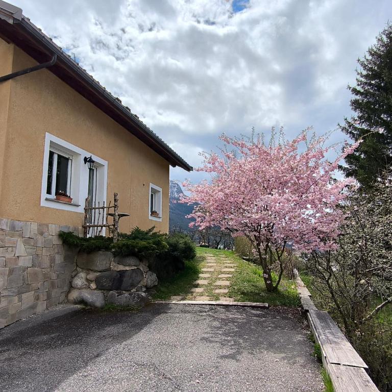 Chambre Studette indépendante - Chambre Double avec Salle de Bains Privative - 26