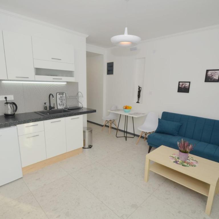 Apartments Spasoje - Apartman sa 1 Spavaćom Sobom - 7