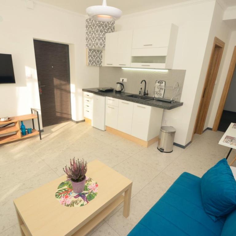 Apartments Spasoje - Apartman sa 1 Spavaćom Sobom - 14