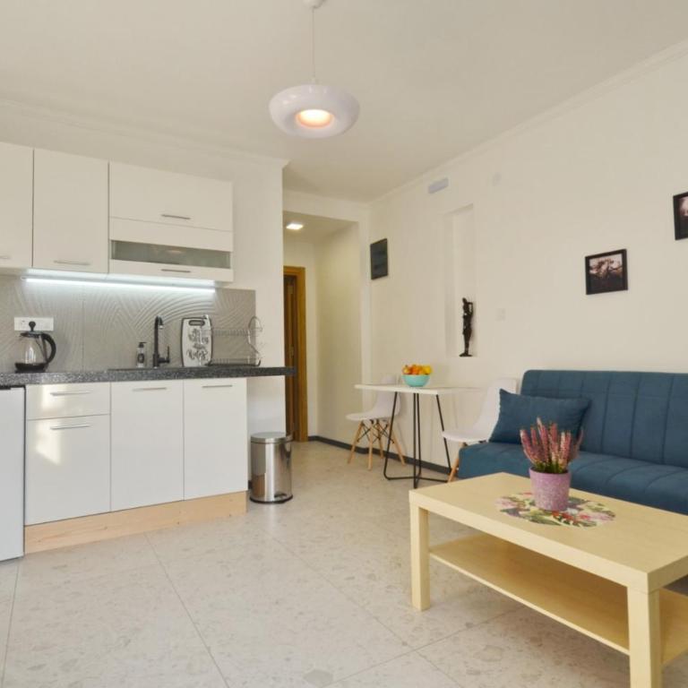 Apartments Spasoje - Apartman sa 1 Spavaćom Sobom - 19