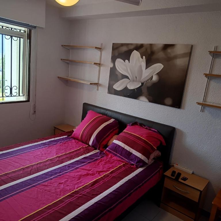 logement tout confort marina or - Apartamento de 2 dormitorios - 20