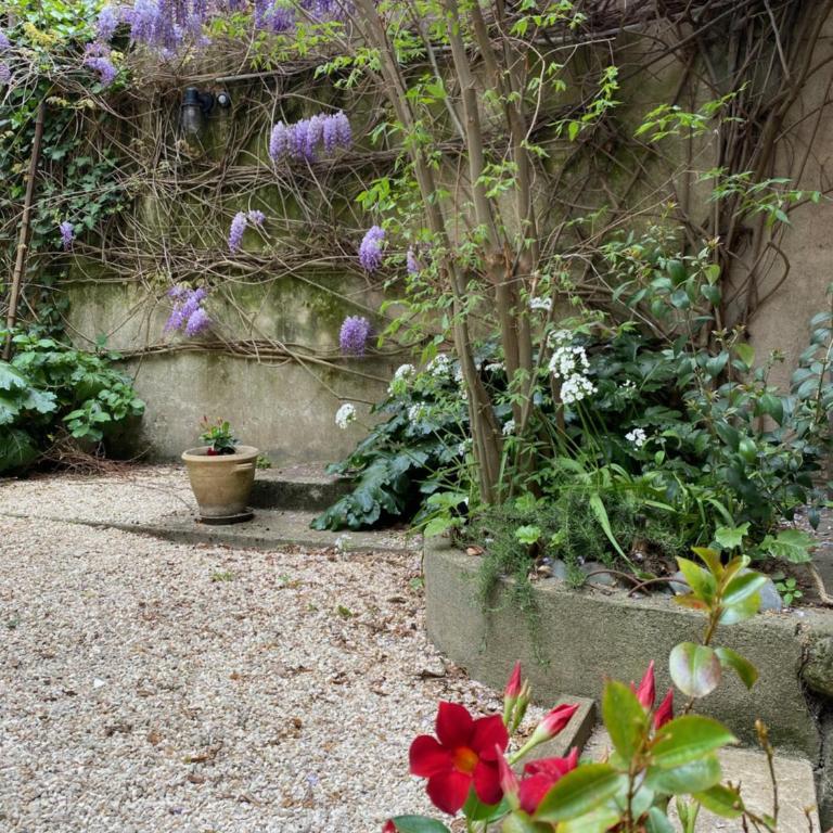 Carcassonne Bastide 5 - Apartment mit 1 Schlafzimmer - 19