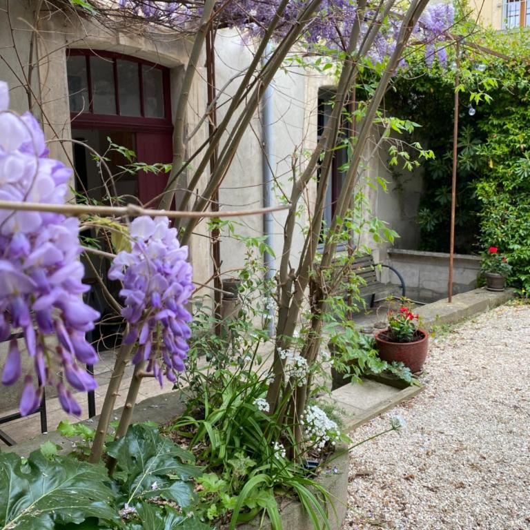 Carcassonne Bastide 5 - Apartment mit 1 Schlafzimmer - 20