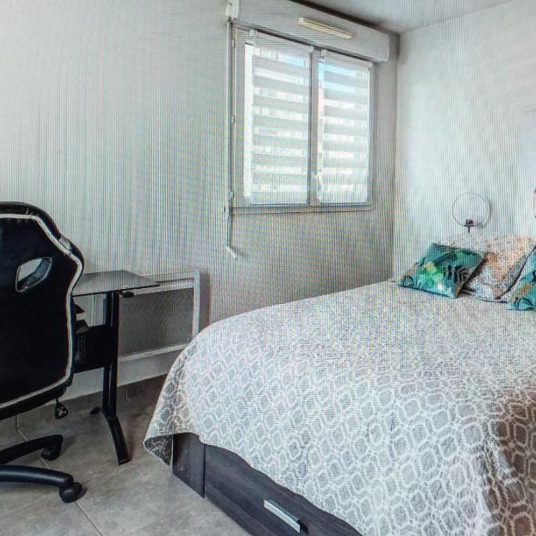 Nice barelli - Appartement 1 Chambre - 5