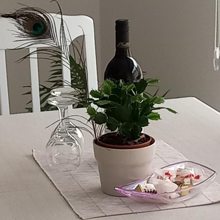 Apartments Alisa - Apartman sa 1 Spavaćom Sobom - 23