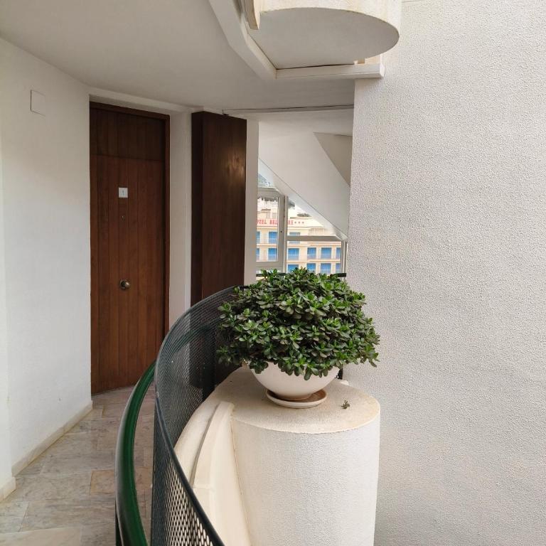 Le Nid Bleu Estartit - One-Bedroom Apartment - 9