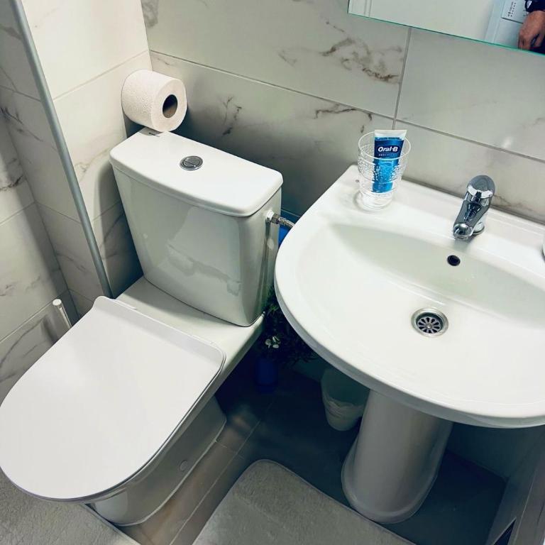 Apartment Igor - Apartman sa 1 Spavaćom Sobom - 9