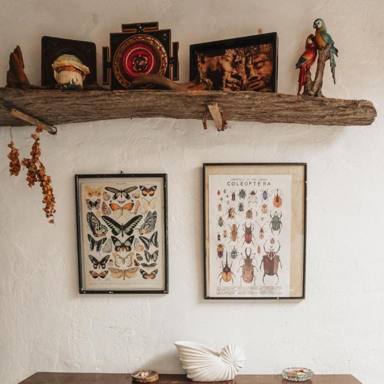 Casa blanca, Refugio Natural Jacaranda - One-Bedroom House - 12