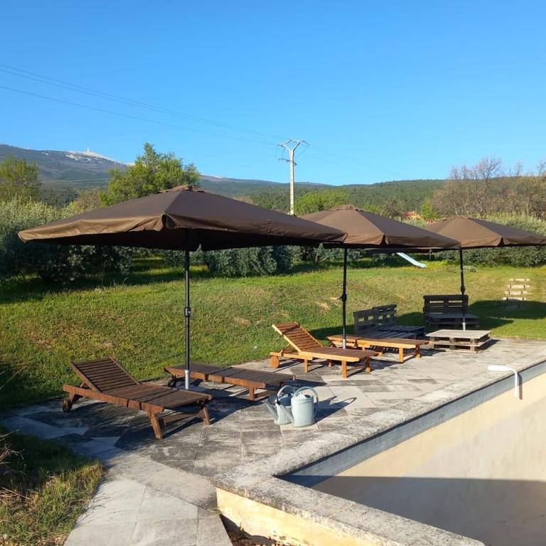 La Tanière du Ventoux - Appartement 1 Chambre - 20