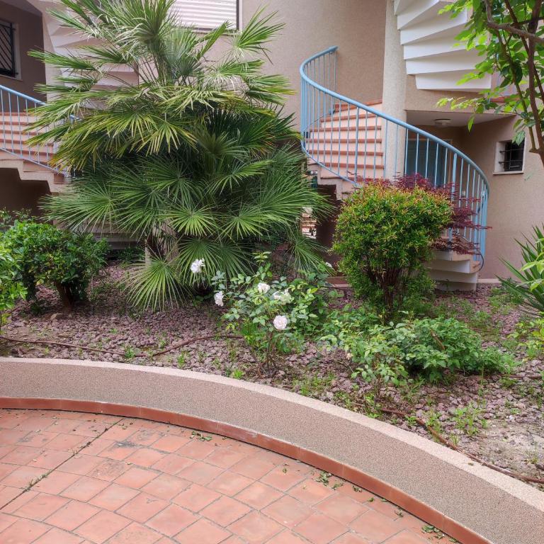 Le Palmier, jardin privatif, plage 200m, centre et restaurants à deux pas, climatisé, wifi, garage, rénové - Apartment with Garden View - 3