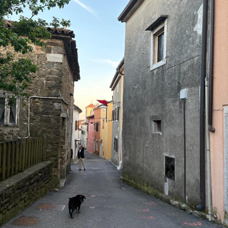 Casa Contovello - Casa con 3 Camere da Letto - 24
