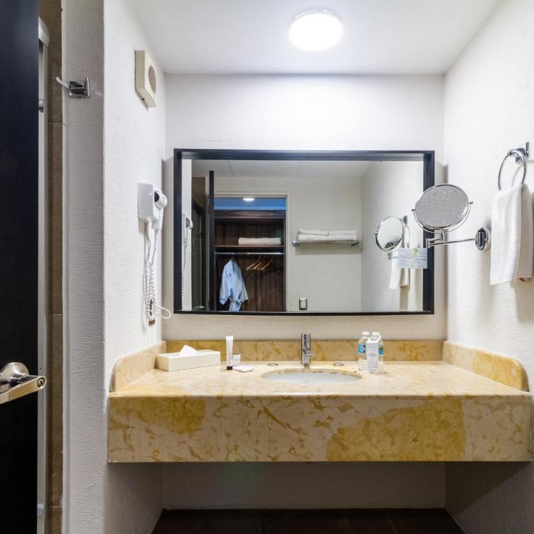 Mesón Ejecutivo Guadalajara - Nuevo Consulado Americano Monraz - Habitación Executive con cama extragrande - 7
