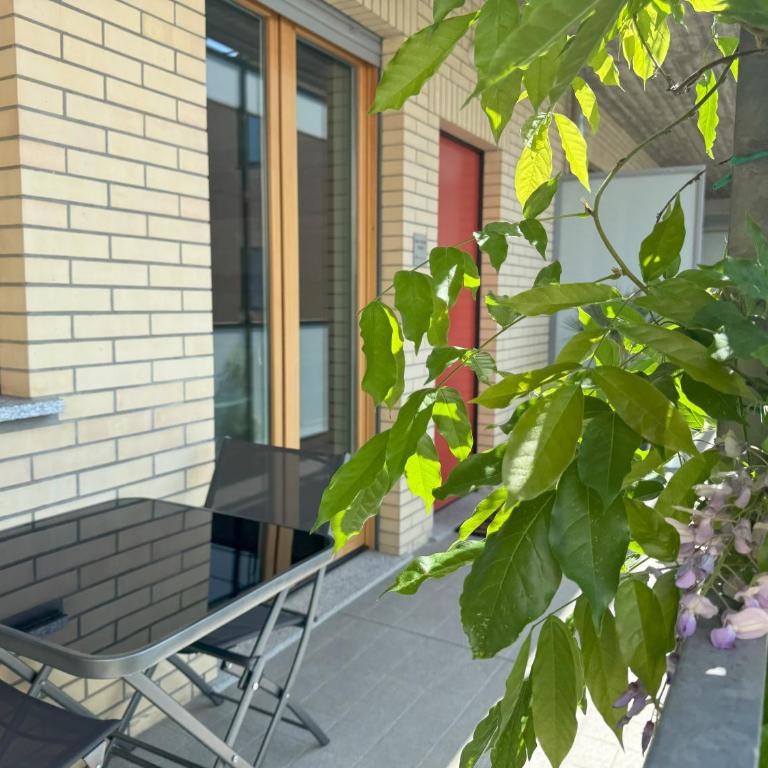 Casa vacanze Glicine - Appartamento Superior - 14