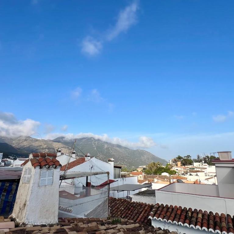 Cozy Historical Andalusian 3BR House Peachy Stays - Casa de 3 dormitorios - 5