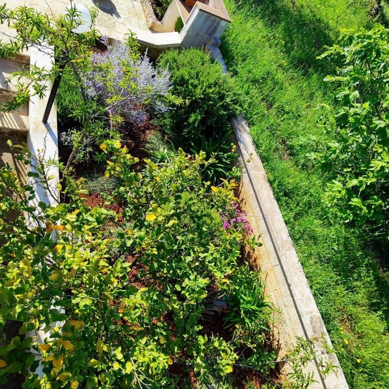 CASA DORI - Casa con 2 Camere da Letto - 26