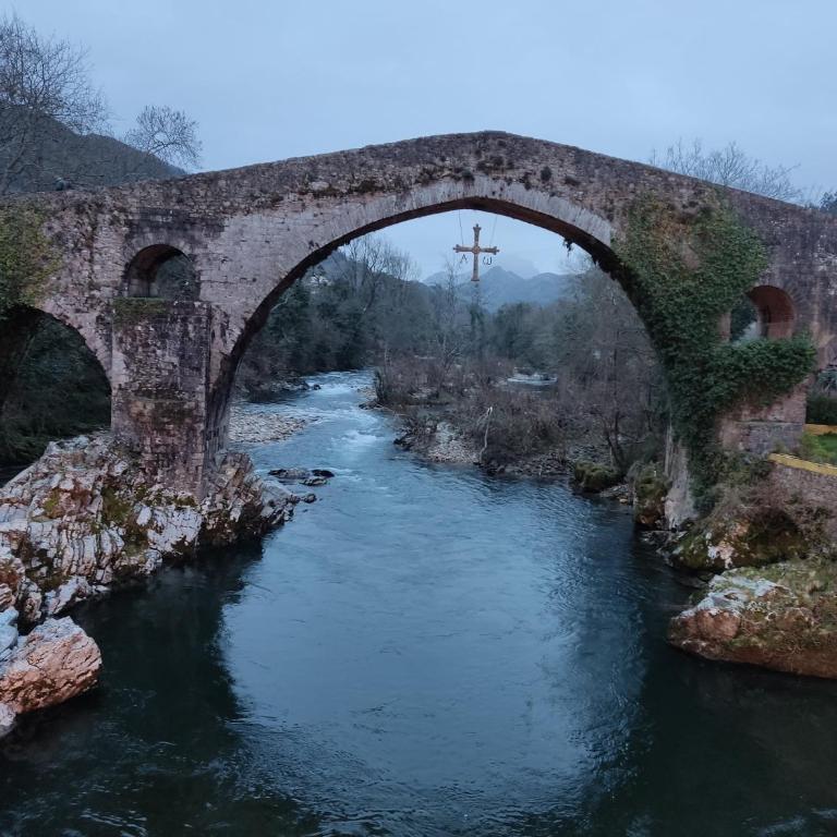 Rey Pelayo, Cangas de Onís - Apartamento de 2 dormitorios - 14