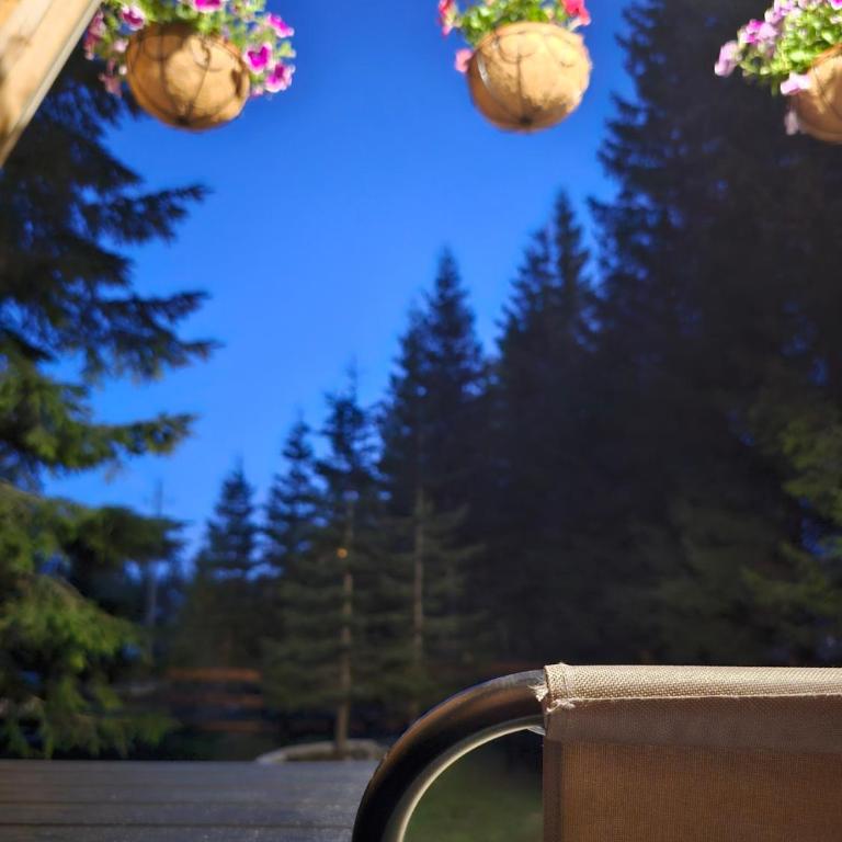 Basna FoRest - Vacation Home - 16