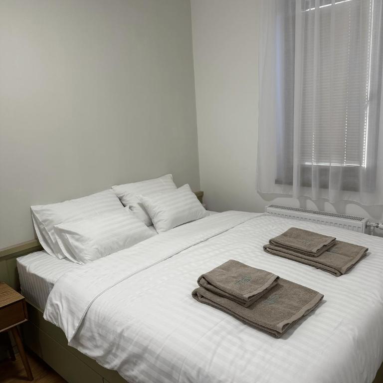 Montis - Apartman sa 1 Spavaćom Sobom - 11