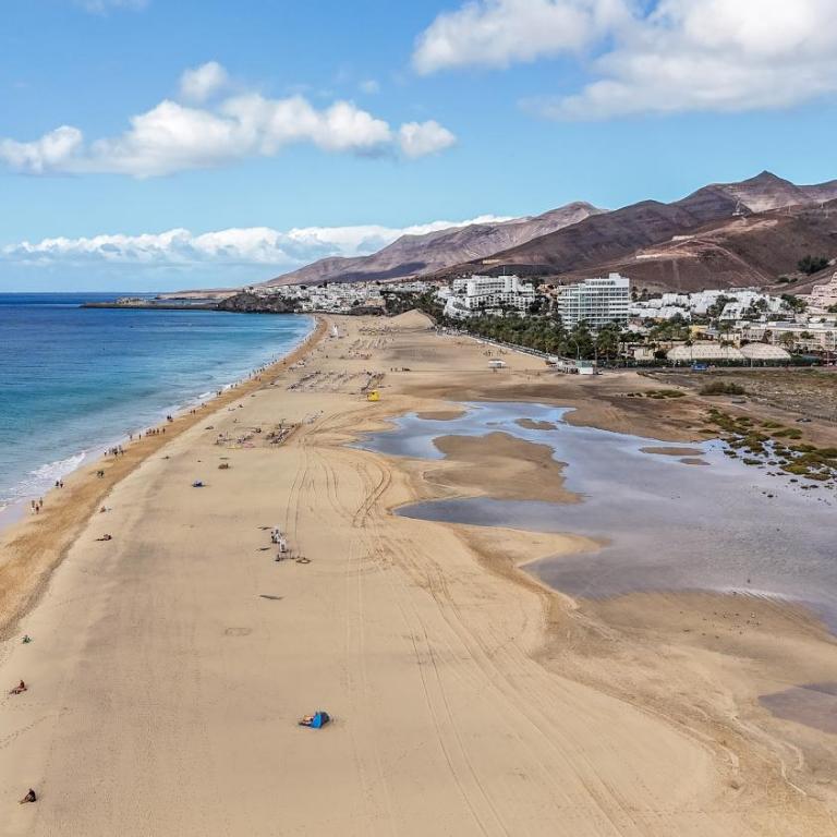 The Sunny Flair, Relaxing Experience - Apartamento de 1 dormitorio - 42