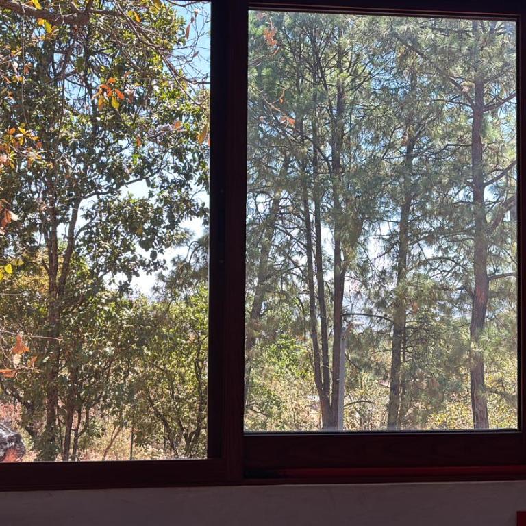 Chalet Rustico - Apartamento de 1 dormitorio con vistas al jardín - 10