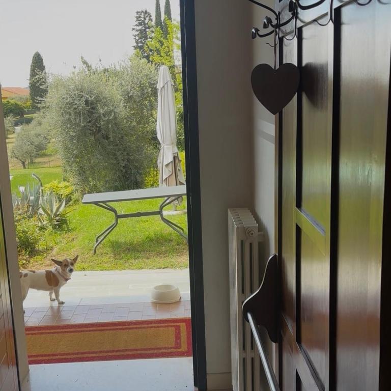 Agriturismo Nonna Bettina - Appartamento con Vista Lago - 3