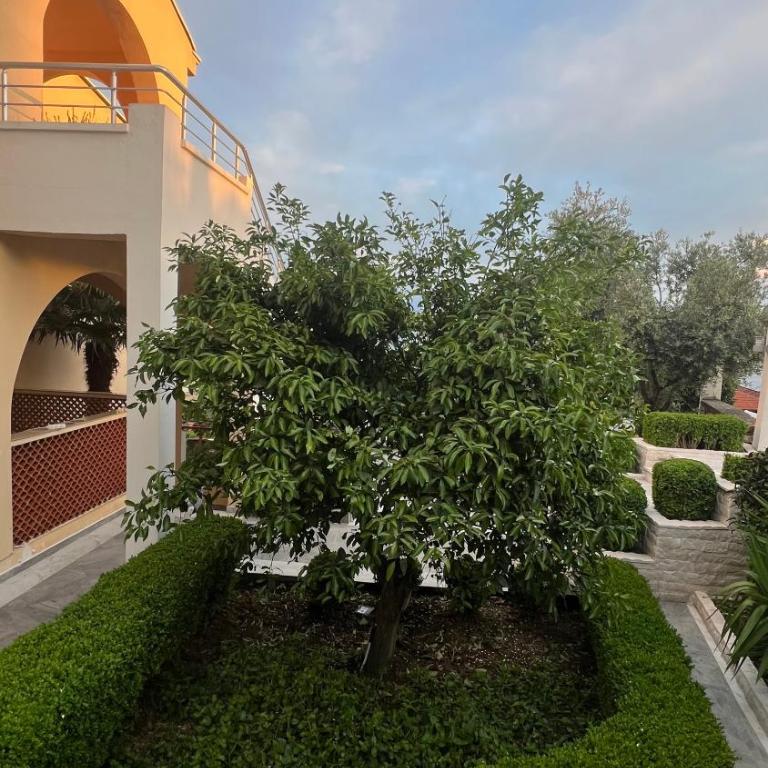 Golden Sun Apartment 2 - Apartman sa 1 Spavaćom Sobom - 11