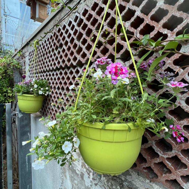 Selva Marina Casa Vacanze - La casetta vintage - Three-Bedroom House - 38
