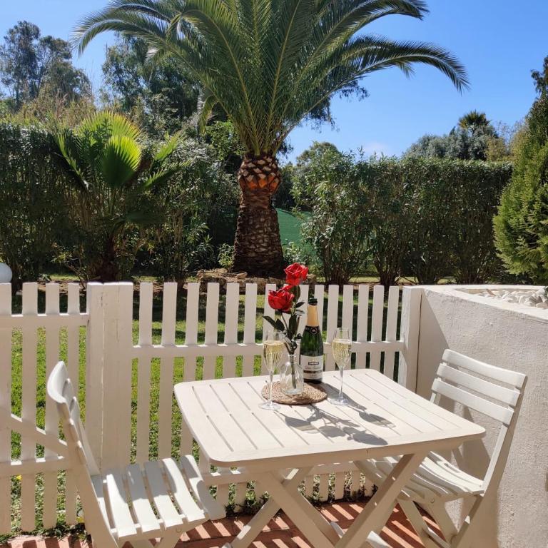 Puerto Banus Apartment near beachfront, big sunny terrace, pool, tennis court, parking & movies projector - One-Bedroom Apartment - 1