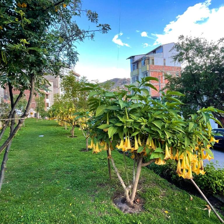 Amapola House - Apartamento de 2 dormitorios - 20