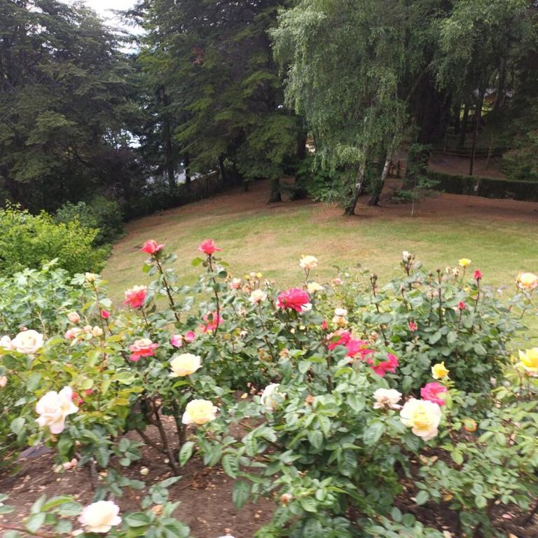 Casa Llao Llao - Chalet - 19