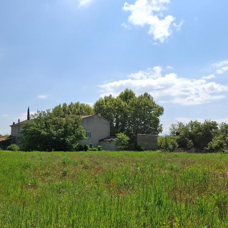 Gite la Muscadelle l Isle sur sorgue - Vacation Home - 25