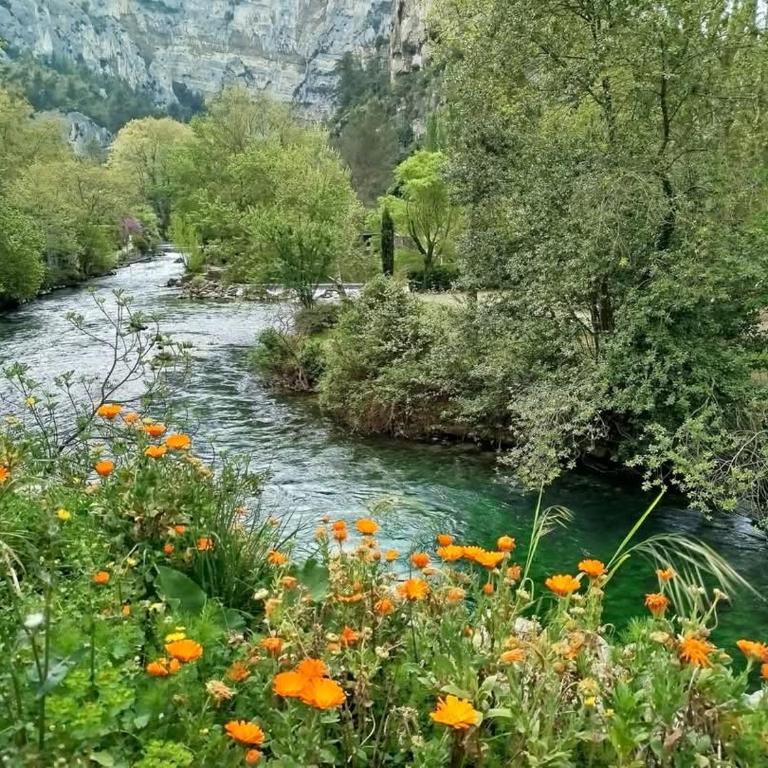 Gite la Muscadelle l Isle sur sorgue - Vacation Home - 32