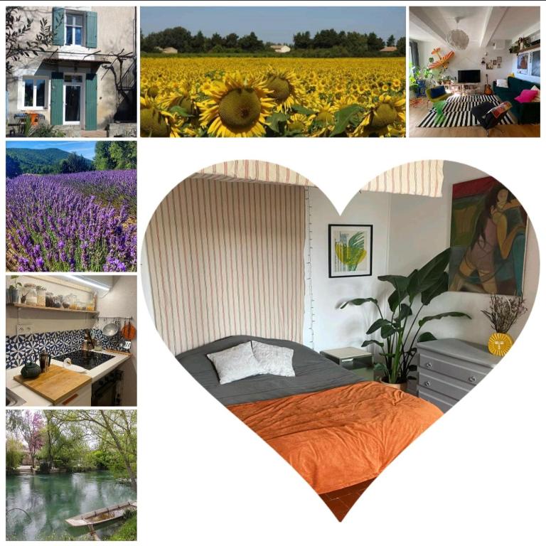 Gite la Muscadelle l Isle sur sorgue - Vacation Home - 24