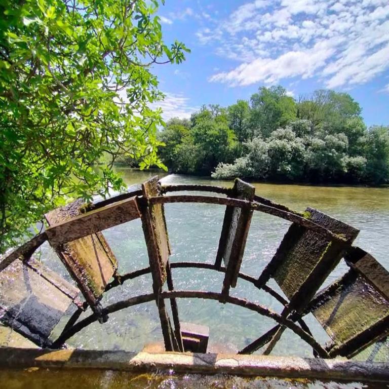 Gite la Muscadelle l Isle sur sorgue - Vacation Home - 27
