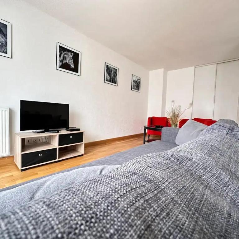 Terrasse & Bulles - Grand T3 au cœur de Reims - Appartamento con 2 Camere da Letto - 1