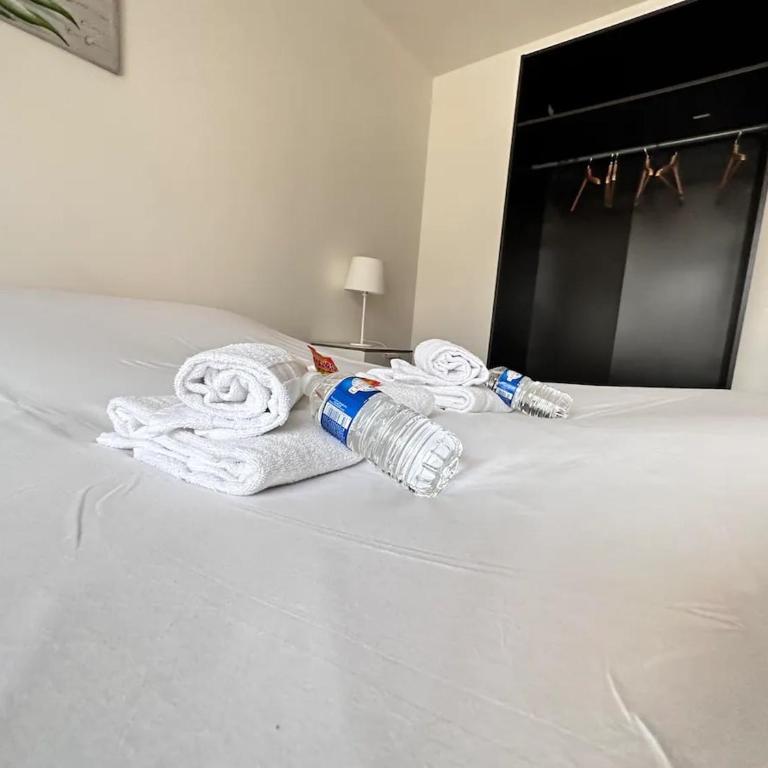 Terrasse & Bulles - Grand T3 au cœur de Reims - Appartamento con 2 Camere da Letto - 14