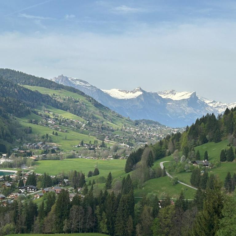 Chalet Saint Victor, Praz sur Arly - Appartement 2 Chambres - 4