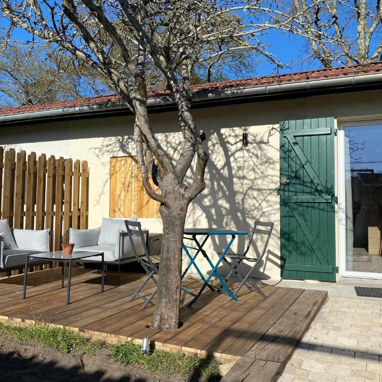 Paisible Studio Climatisé avec jardin Bassin Arcachon - Appartement 1 Chambre - 17